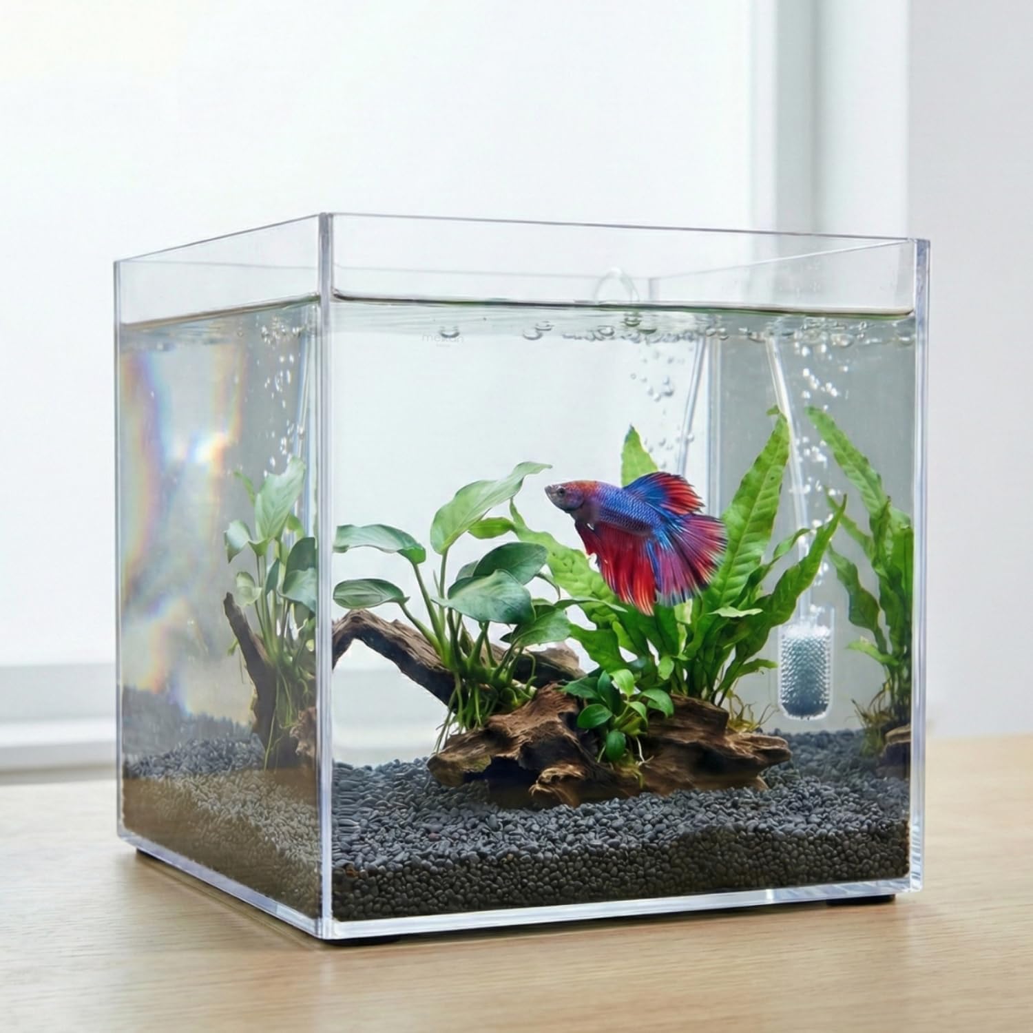 Premium Kristal Küp Nano Akvaryum & Beta Fanusu 20X20X20 cm 7 Litre - Karides ve Balık Akvaryumu