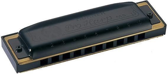 HOHNER Pro Harp MS D Harmonica