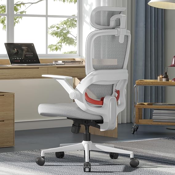 SIHOO Ergonomic Office Chair Adjustable Lumbar Support Desk Chair