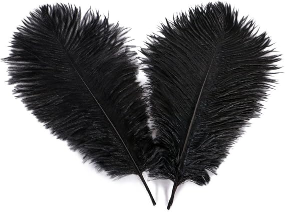 XZEN 5.9"-7.9" Ostrich Feather Plume Decoration DIY Craft Pack of 100PCS (Black)