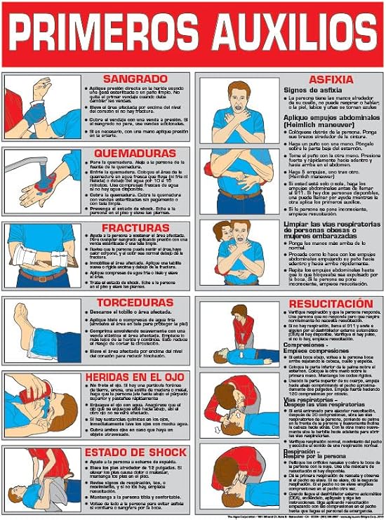 ALGRA First Aid 18" X 24" Laminated Poster Spanish Version (18" x 24")