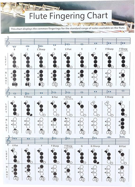 Wind Instrument Accessories - Flute Fingering Chart, Large (56 * 40cm), Coated Paper