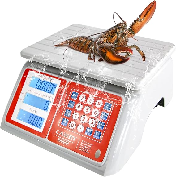 CAMRY Waterproof Commercial Food Scale, 66lb/30kg, Price Computing | IPX7 Stainless Steel Platform; Rechargeable Battery; Dual LCD Display; KG/LB Conversion; For Seafood and Farmers Market