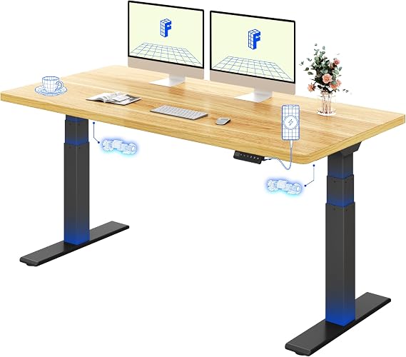 FLEXISPOT Electric Standing Desk BIG MAX 200KG Height Adjustable