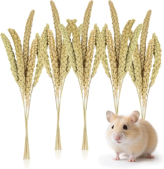 Sukh 30 Pcs Natural Millet Spray - 12.6in Hamster Cage Accessories Decor
