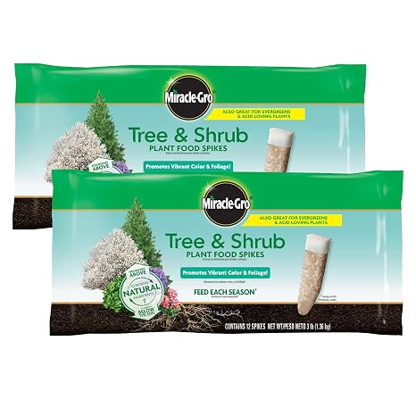 Miracle-Gro Tree & Shrub Plant Food Spikes, 12 Spikes (2-Pack)
