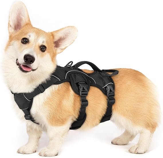 rabbitgoo Escape Proof Dog Harness Small Dog with Large Handle, Black