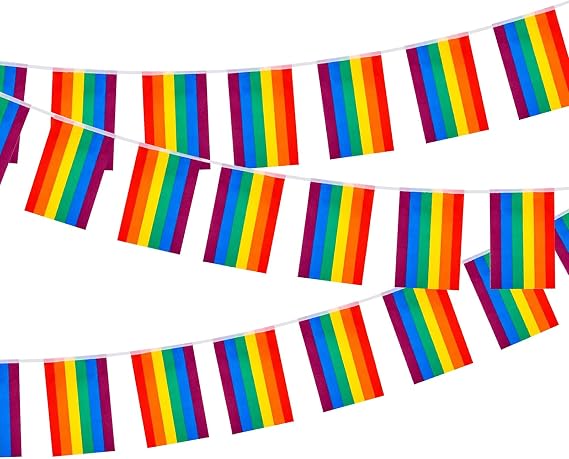 iwiio 26.2ft Pride Bunting Flags, Gay Pride Flag Banner with 25 Pennant Flags, LGBT Colorful Stripes Bunting for Party, Celebration, Home, School, Bars, Restaurants, Garden Decoration