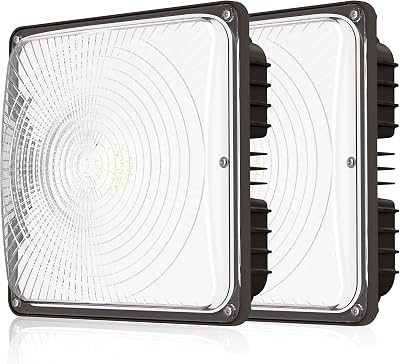 CINOTON 60W LED Canopy Lights UL Listed, 100-277V Commercial Canopy Lights Outdoor IP65 Waterproof, 5600LM for Gas Station Garage Warehouse Shop Carport Industrial, 9.5x9.5 5000K Daylight 2 Pack