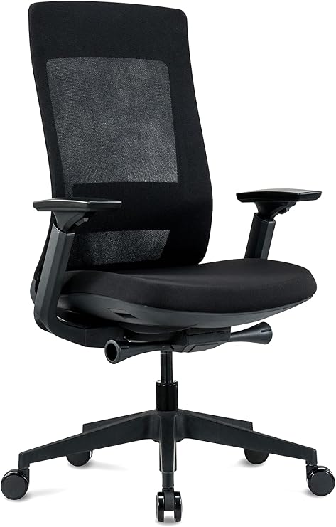 Ergohuman Elevate Black Mesh Back with Black Fabric Seat, Weight Balance, Tilt and Height Adjustment, Office Desk Chair (Black Frame)