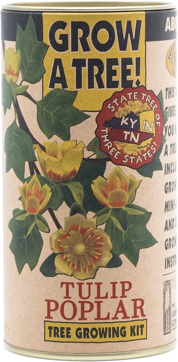 Tulip Poplar | Tree Seed Grow Kit | The Jonsteen Company