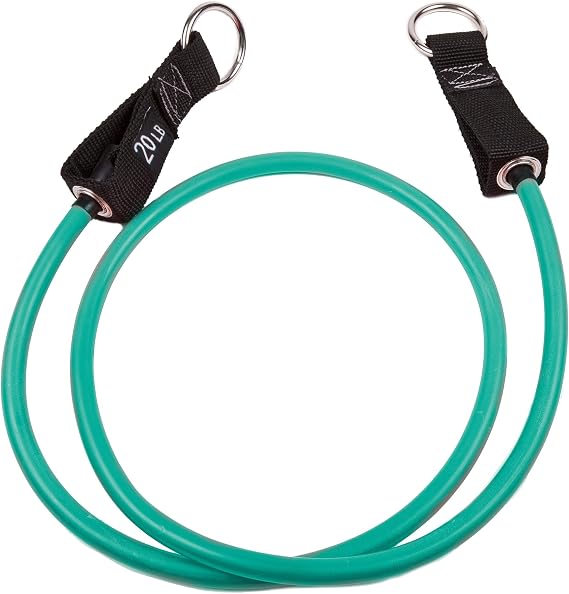 GoFit Resistance Training Power Tube, Natural Rubber Exercise Band for Strength Training, Stretching, Yoga, Pilates & Full Body Workouts, Carabiner Loop Design