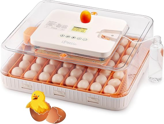 iPettie Egg Incubator for Hatching Eggs with Automatic Egg Turning