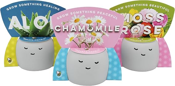 Buzzy Seeds Peaceful Face Grow Kit 3-Pack, Painted Concrete Planters