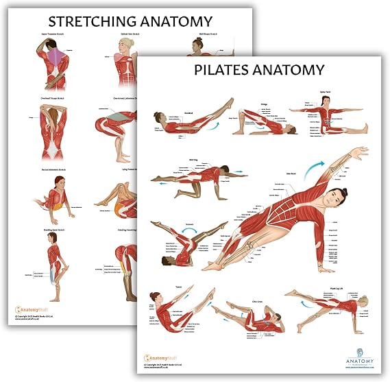 Anatomy Lab Stretching and Pilates Anatomy Posters Set