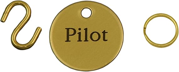 Customized Solid Brass Bridle Halter Tag- 1" Disc