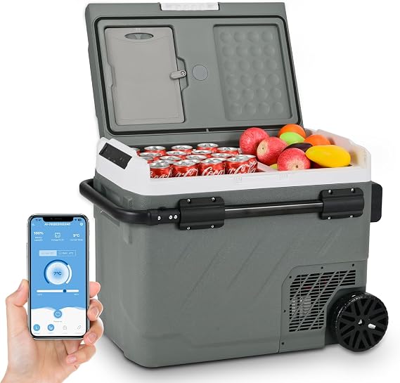 Alpicool EZGW51 49L Compressor Car Fridge Dual Zone APP Control Freezer [Energy Class C]