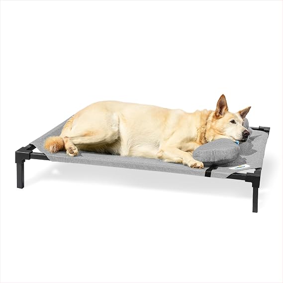 Coolaroo Pro Elevated Dog Bed with HeatShield Fabric Advanced Cooling Raised Cot for Small & Medium Breeds, Easy-Clean, Low-to-Ground Access, Bonus Bolster Pillow Glacier Grey