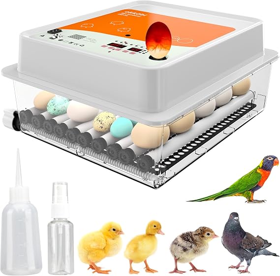 OBI-36 Egg Incubator for Ducks and Chickens, Candler, Automatic Turner