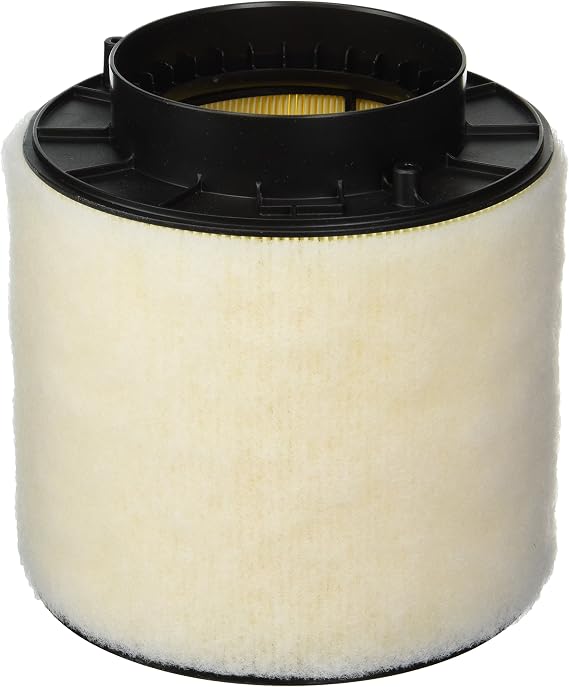 Genuine Audi (8K0133843) Air Filter