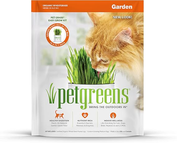 Bell Rock Growers Pet Greens Pet Grass