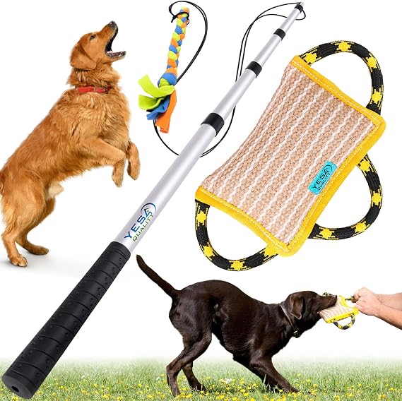 YES4QUALITY Dog Bite Pillow 10x7 & Extendable Flirt Pole Bundle