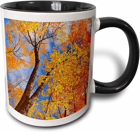 3dRose Canada, Ontario, Parry Sound. Sugar maple trees in autumn. 11oz Two-Tone Black Mug