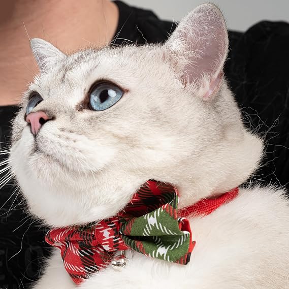 Ayarlanabilir Yeni Yıl Papyonlu Kedi Tasması (ÇINÇINLI)