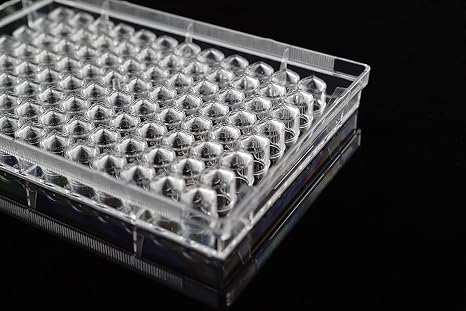 Nest Scientific 701201 TC-Treated Cell Culture Plate, V-Bottom, Sterile, 96 Well, Polystyrene, Clear (Pack of 100)
