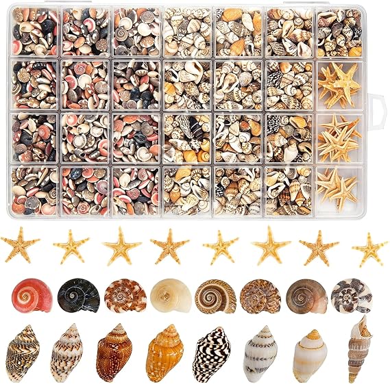 1200 PCS Tiny Seashells & 21 Starfish Mixed 18 Kinds Bulk Beach Small Shells for Home Decor, Beach Theme Party Decor, Fish Tank Aquarium, Sea Shells for Crafting Vase Filler, Beach Candle