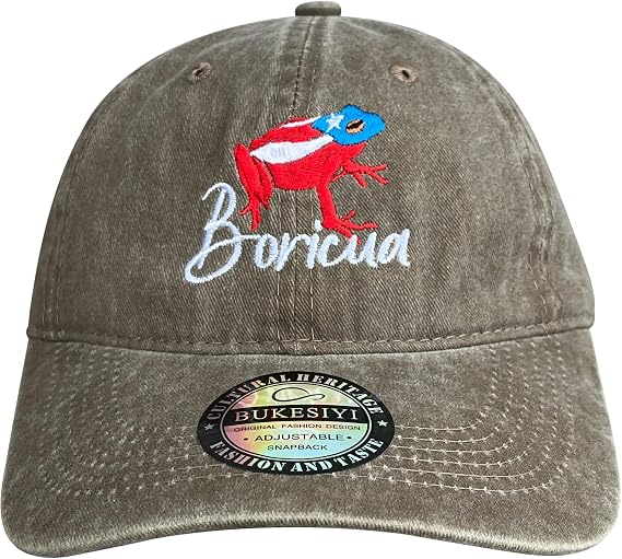 Best Cool Dad Hats for Men Women Baseball Cap