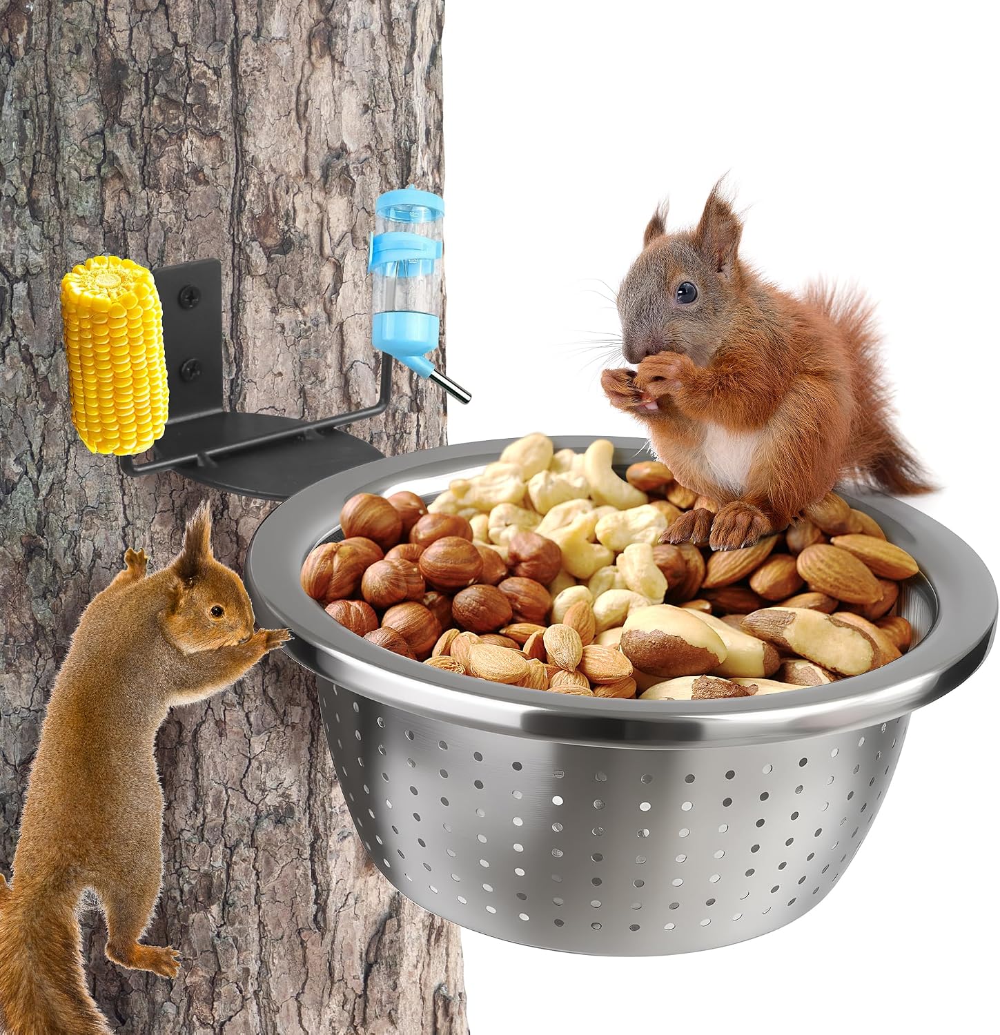 Outdoor Metal Wild Squirrel Feeder: Chipmunk Food Holder with Removable Feed Bowl Easy to Clean and Refill, Install on Trees, Houses, Fence or in Backyard, Patio, Yard for Wild Critter, Woodpecker