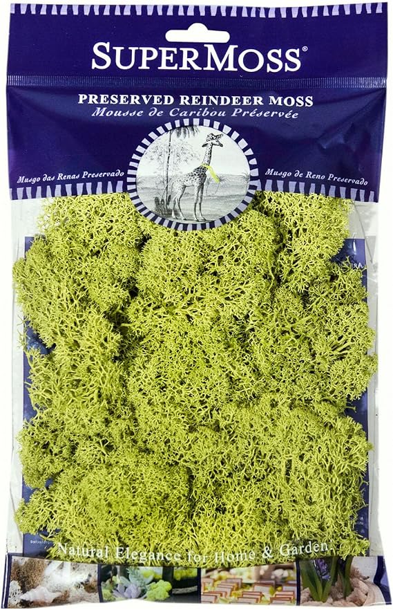 SuperMoss (23130) Reindeer Moss Soft Preserved Moss for Home Decor, Crafts, Terrariums, Floral Design, and Wedding Decorations, 120 cu in, Apple