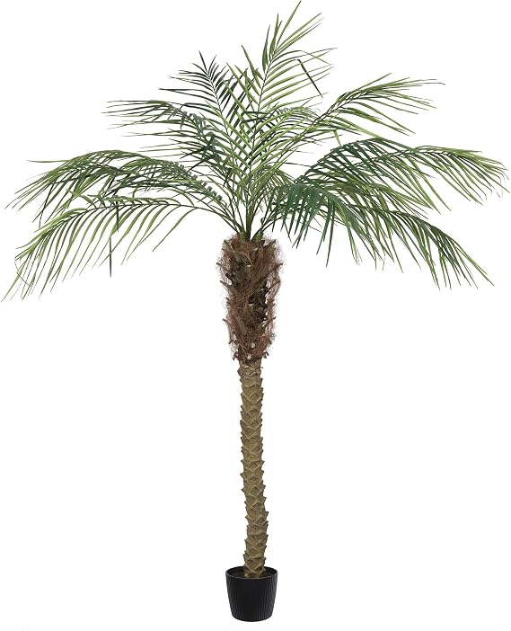 Vickerman Everyday Artificial Phoenix Palm Tree 6 Foot Tall for Indoor Use Home Office Christmas Holiday Tropical Decoration Design Your Tropical Oasis