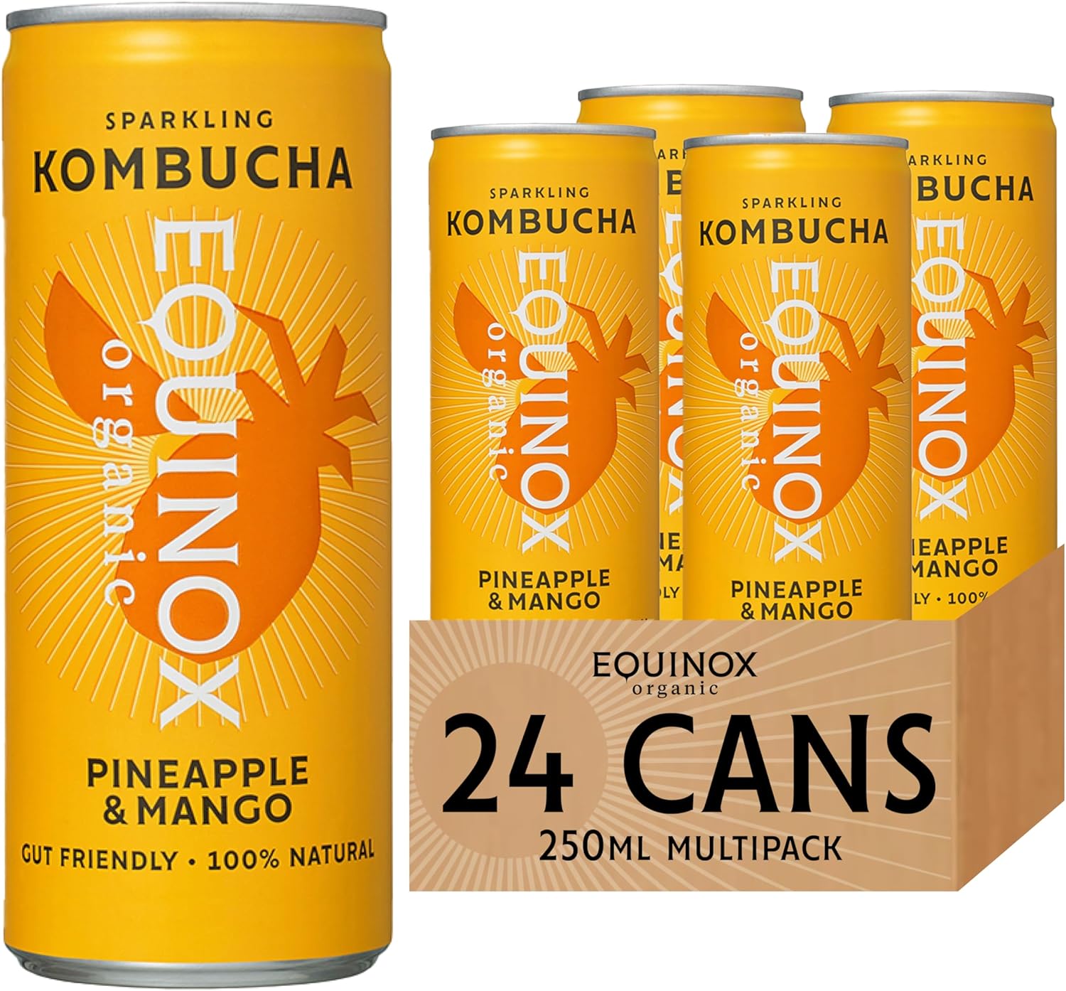 Equinox Kombucha Pineapple & Mango Real Fruit Kombucha Flavours (24 x 250ml) | Authentic Craft Kombucha Brewed in UK with SCOBY, Green Tea & Raw Cane Sugar | No Sweeteners & 100% Natural
