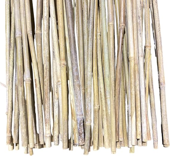 5 ft Tall All-Natural Thick Bamboo Poles - (1/2 in Wide) - 16 Pack - 6 Colors Available! (Beige)