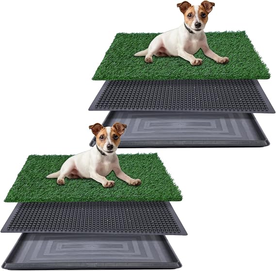 Artificial Grass for Dog Potty 20x25 inch,Strong Absorbency Grass Pad, Dog Grass Pad with Tray, Dog Potty Training Pad, Dog Litter Box with Grass,2 Pack