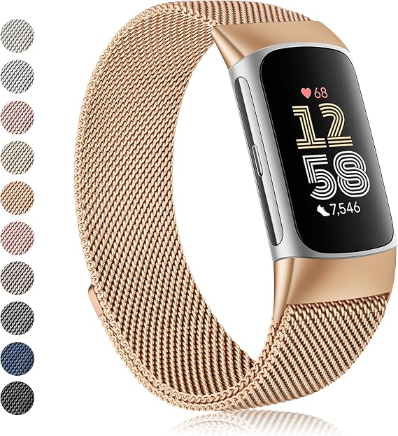 Amzpas Fitbit Charge 6用バンド 男女兼用 ステンレススチールメッシュリストバンド マグネットクラスプ付き Fitbit Charge 6 / Fitbit Charge 5用