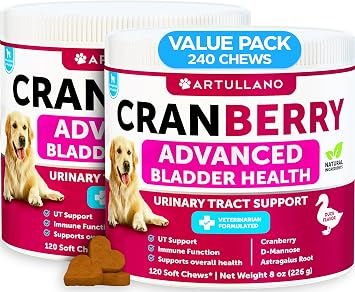 2 Pack 240 Chews Total Dog UT Treats - Cranberry Chews for Dogs - Urinary Tract & Bladder Support Supplement with Natural Cranberry Extract - Tasty Soft Bites with Fish Oil, Pumpkin, D-Mannose