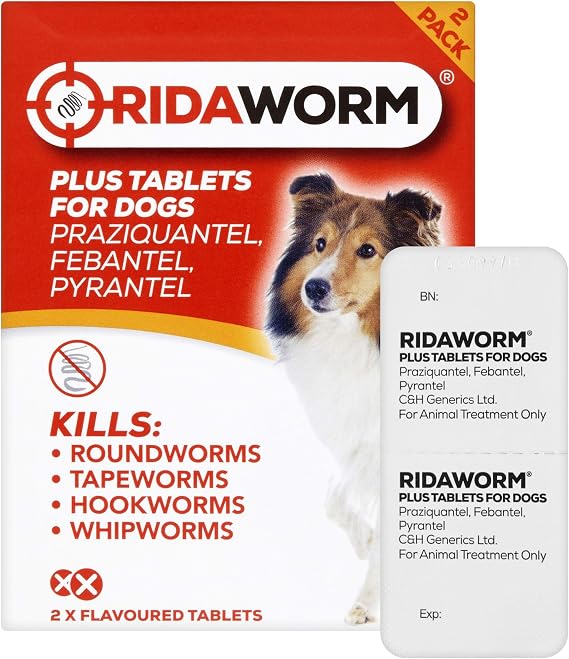 Dog Tablets, One Size, Pack of 2