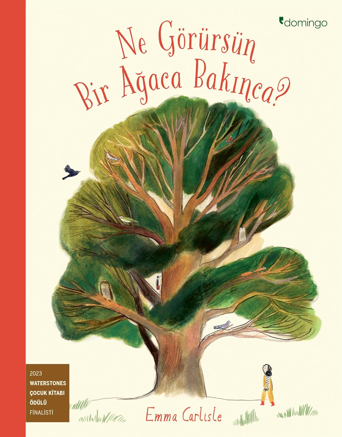 What Do You See When You Look at a Tree?