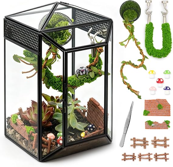 Glass Jumping Spider Enclosure Kit,Gothic Pet Baby Spider Terrarium