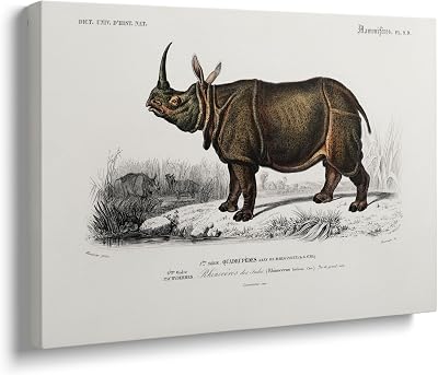 Niwo ART - Indian Rhinoceros, Universal Dictionary of Natural History, Canvas Wall Art Home Decor, Gallery Wrapped, Stretched, Framed Ready to Hang 18x12x34