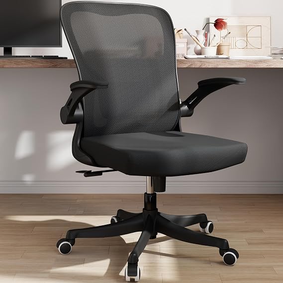 Monhey Ergonomic Office Chair, Adjustable Lumbar Support Desk Chair, Black
