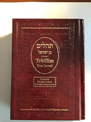 Tehillim Ben Israel Big Book of Psalms - Hebrew English Translated Transliterated Hardcover January 1, 2010