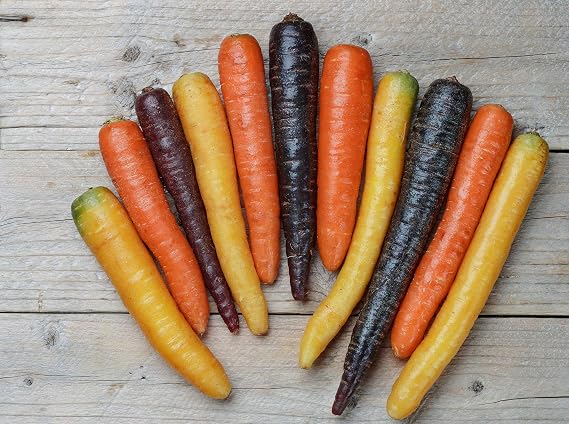 Rainbow Blend Carrot Seeds